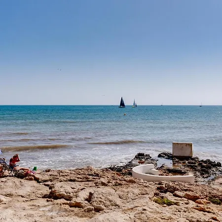 Tamarindo تورّيفيِخا